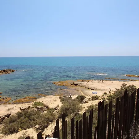 Rivera Alicante